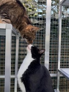 640402890 18040816403751236 9062561083025874305 n