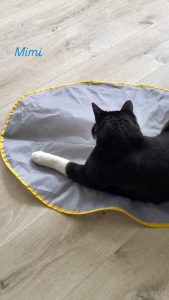 640682042 18040359065751236 4084256718803976784 n