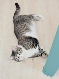 640857866 18040817576751236 7155254691227100507 n