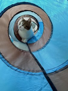 641297148 18040576460751236 4810249557911604105 n