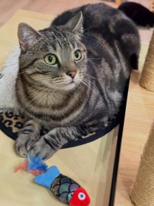 642117338 18040463669751236 7174902785125685297 n