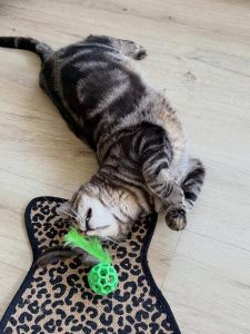 643034880 18040690256751236 4530621656391753992 n