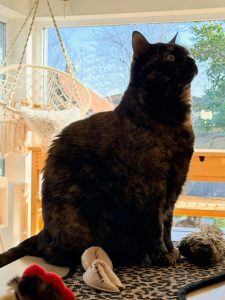 643050698 18040921904751236 3078547773555562144 n