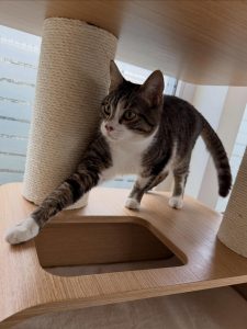 643546976 18040922531751236 4045770244205284619 n