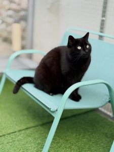 643562488 18041205365751236 5555385104454734265 n