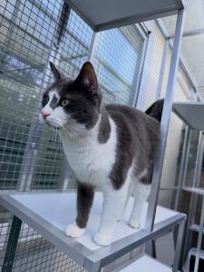 645724025 18041053031751236 2190335783454483933 n