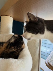 645778971 18041285048751236 4828289107927706266 n