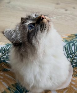 645784114 18041165699751236 6917709733578969959 n