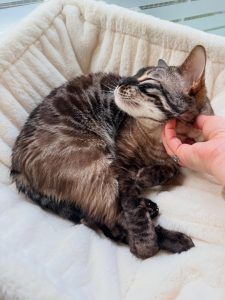 655642888 18044361278751236 9086313502999645853 n