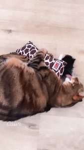 656390151 934420592639700 4730858291989030103 n