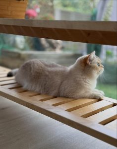 657235199 18044917673751236 3029944608349712805 n