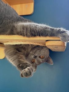 657369037 18044915156751236 1256957041500895118 n