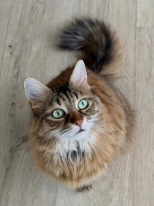 657607213 18045196526751236 325330810349804651 n