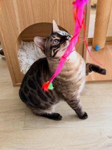 657607744 18044198072751236 7127065363553443711 n