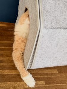 658307528 18045192161751236 8407760607209584358 n