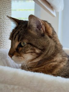 658367113 18045465596751236 6396249582501608742 n