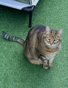 658507105 18045988697751236 7420179645981778064 n