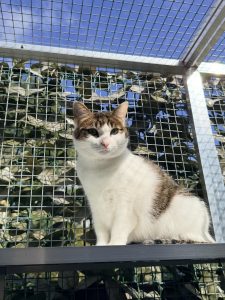 658831151 18045328730751236 8953281482197826074 n