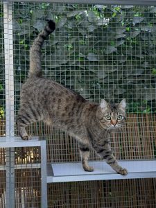 659078985 18045989441751236 353876671472050232 n