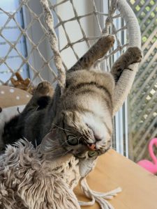 660157063 18046246253751236 2963310456592497006 n