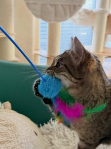 660307466 18046243193751236 8074323479184636614 n