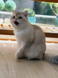 660401414 18045194327751236 3143588010751141392 n