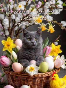 661574829 18046101722751236 3346876375237681897 n