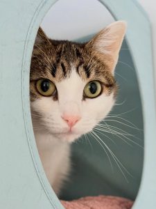 663101061 18046372748751236 3506928817818817312 n