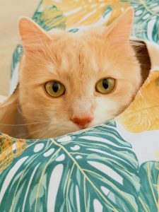 663119579 18046495268751236 6469227761914292951 n