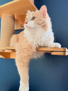 669855102 18046986917751236 955695604290028660 n