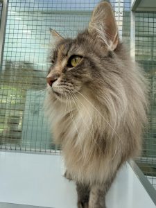 670783053 18047820149751236 5059173045616392444 n