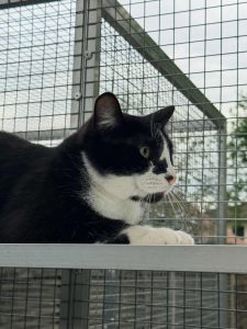 670876205 18047110967751236 1550740373939401006 n