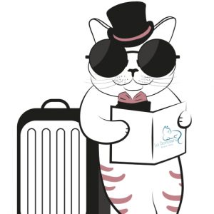 preparer chat sejour pension